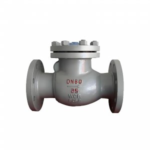 DN50 PN25 介質(zhì)：甲胺，溫度：80℃止回閥