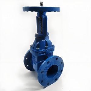 手動(dòng)閘閥Z41T-16 DN50/DN65廠家直銷，上海發(fā)